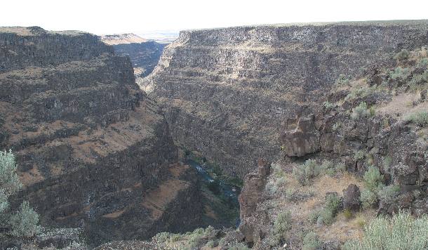 Bruneau Canyon