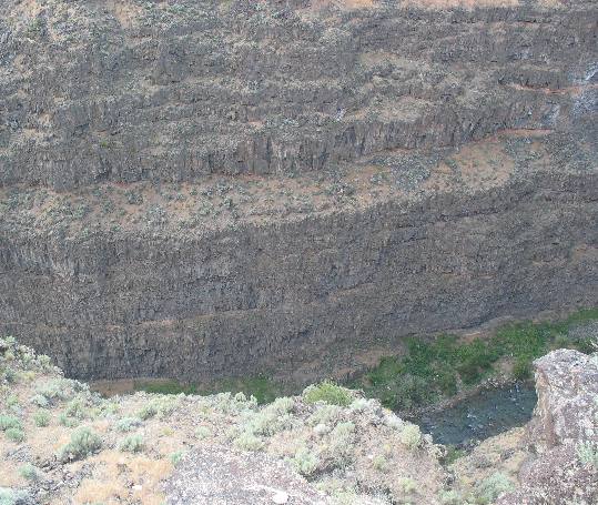 Bruneau Canyon