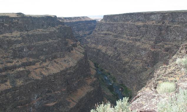 Bruneau Canyon