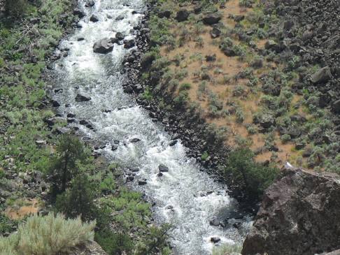 Bruneau Canyon