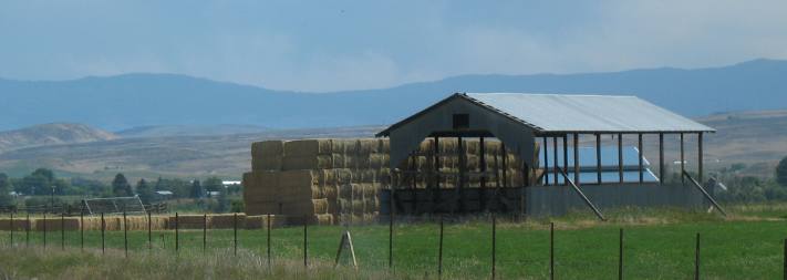Weiser, Idaho was big into hay production