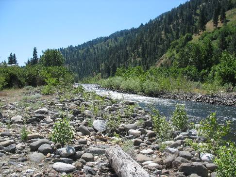 Little Salmon River south of Riggins, Idaho