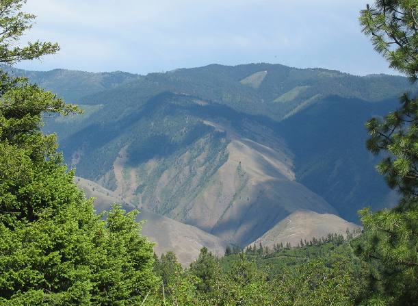 View from Forest Service road to Hells Canyon Overlook: Riggins, Idaho