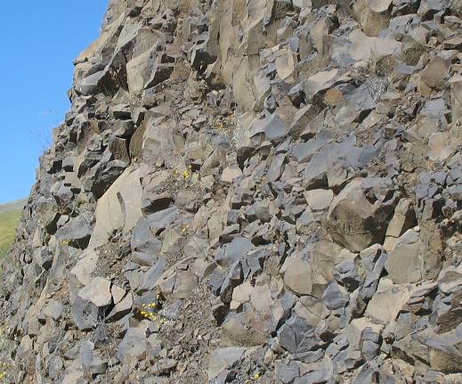 Basalt that is remotely resembles colomnar jointed basalt from ancient lava flow