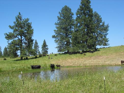 Extreme eastern edge of the Camas Prairie in western Idaho