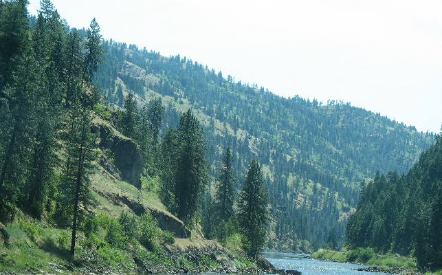 Hill leading from Weippe Prairie to Clearwater River used by Lewis & Clark