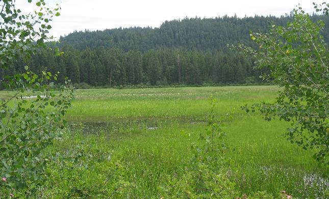 Heyburn State Park on Chatcolet Lake