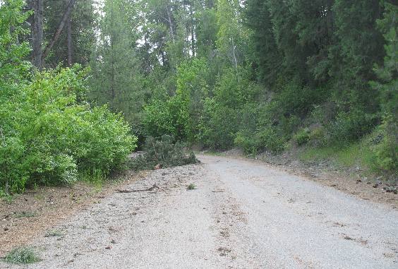 Moyie River Canyon Bridge