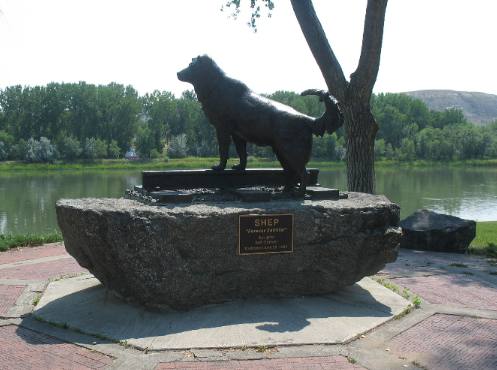 Memorial to Shep in Fort Benton