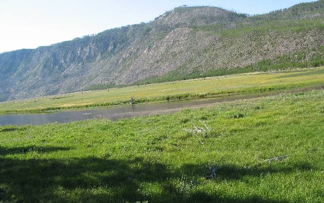 Madison Valley in Yellowstone National Park