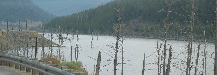 Quake Lake on the Madison River in Montana