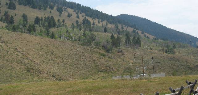 Earthquake scarps