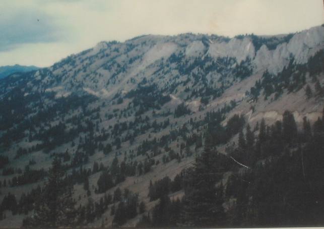 Fault scarp
