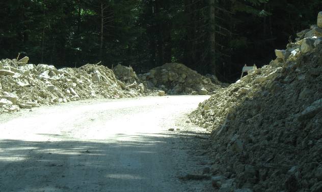 Storm Damage on road to Ross Creek Ancient Cedars