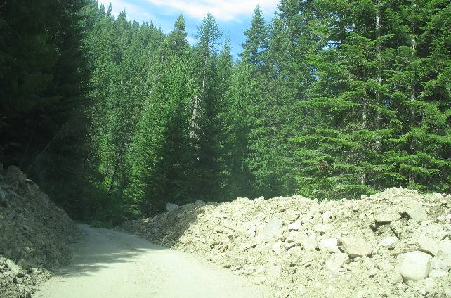 Ross Creek Ancient Cedars