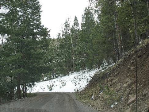 Snow on Mt Taylor