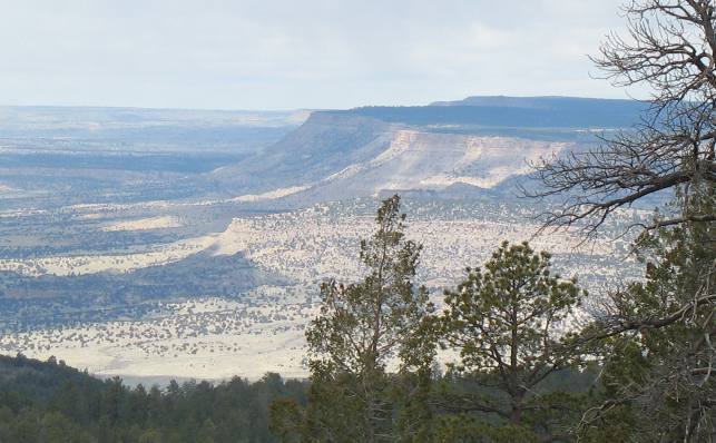 Sandstone bluffs and mesa to the southwest of Mt Taylor