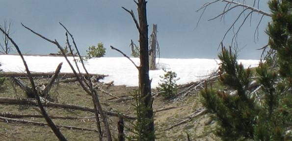 Snow in the Elkhorns