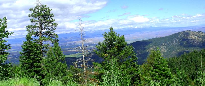 Baker Valley from Elkhorn Mountain