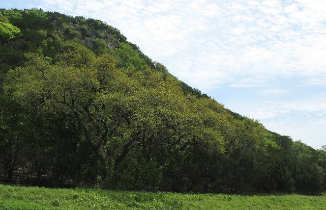 Bandera Pass in the Hill Country of Texas