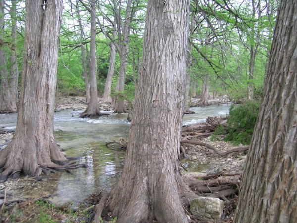 Guadalupe River from La Hacienda Ranch Hunt, Texas