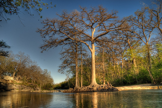 Guadalupe River downstream of Canyon Dam
