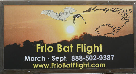 Frio Bat Flight out of Concan, Texas