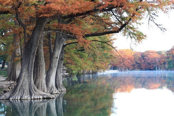 The Frio River as it flows through Garner State Park near Concan, Texas
