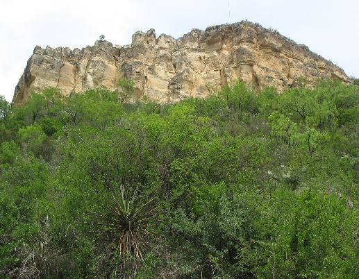 Rivercut on east side of South Llano River at Junction, Texas