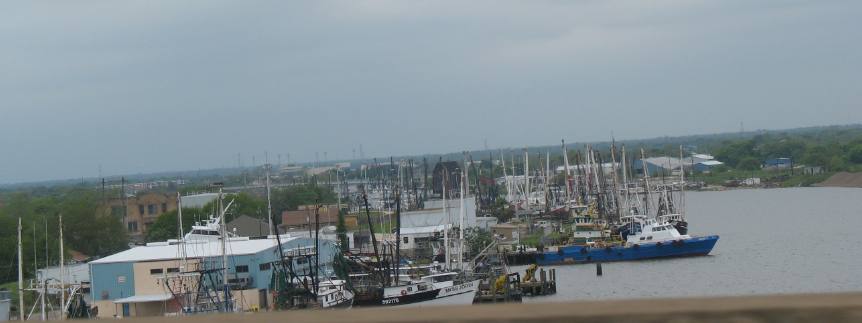 Shrimp fleet at Oyster Creek near Freeport, Texas
