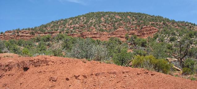 Cutler Formation consisting of sandstone, mudstone & shale colored by iron oxide
