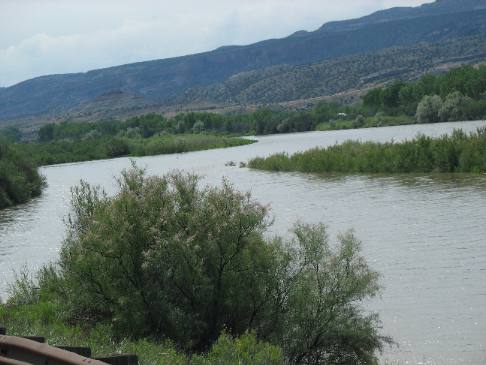 Colorado River in Fruita, Colorado