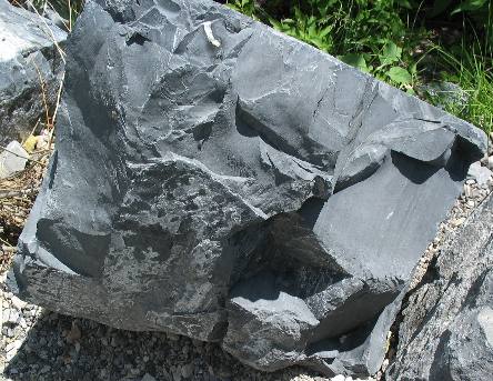 Obsidian or a large bolder that looks like obsidian