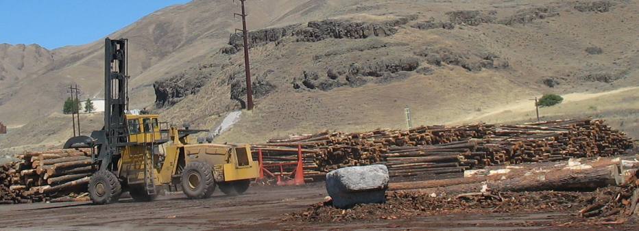 Log handling machine at Forest Products Operation