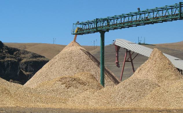 Unloading barge load of woodchips at Wilma Port Facility near Clarkston, Washington
