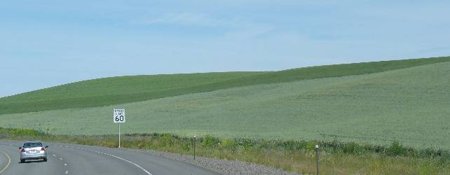 Peas and grain in the Palouse Region of Washington & Idaho
