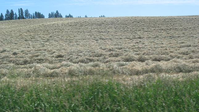 Agriculture in the Palouse Region of Idaho