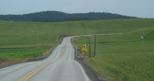 Wheat fields in the Palouse Region of Idaho