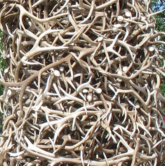 Close-up of Elk Antler arch on Square in Jackson, Wyoming