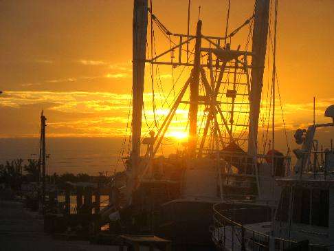 Gulf Shrimper on Stock Island