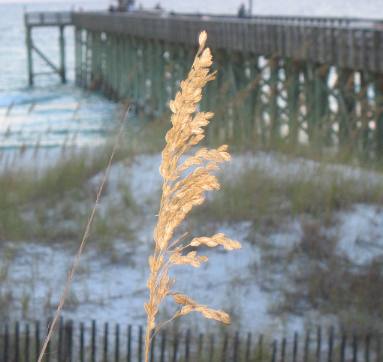pier in St Andrews State Park