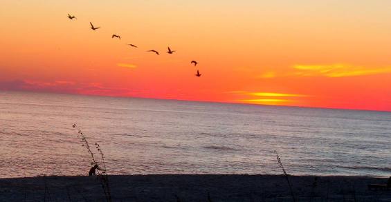 St Andrews State Park Sunset