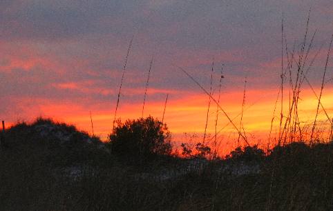 Sunset over the dunes at St Andrews State Park