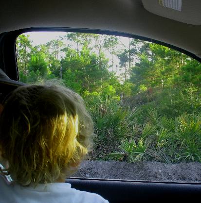 Bennett Hendrix looking at deer
