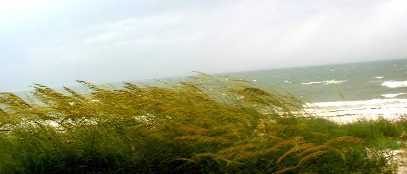 Cape San Blas
