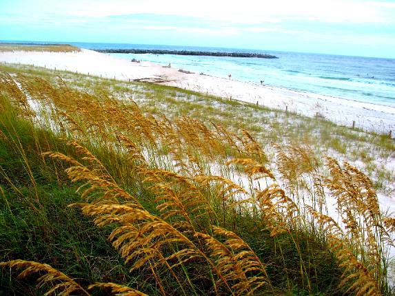 St Andrews State Park