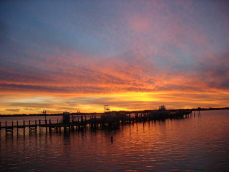 st andrews marina
