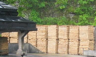 Rickyard at the Jack Daniel's Distillery tour