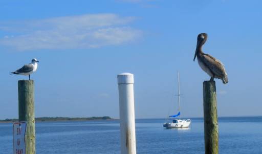 Cedar Key