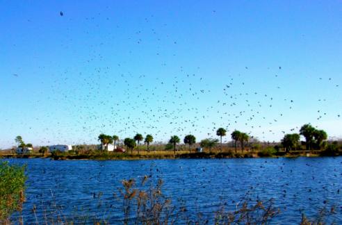 Monument Lake in Everglades National Park